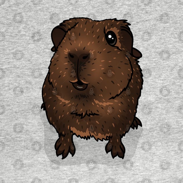 Chocolate Agouti Guinea Pig by Kats_guineapigs